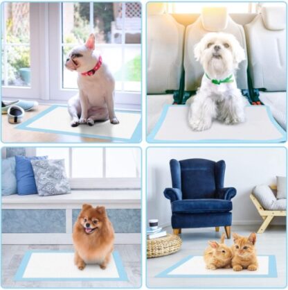 Puppy Training Trainer Train Pads Toilet Pee Wee Poo Dog Pet Cat Mats - Image 8