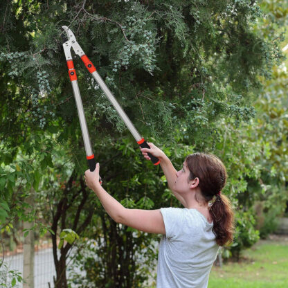 Heavy Duty Telescopic Long Handle Lopper Extend Tree Branch Anvil Pruner Cutter - Image 7