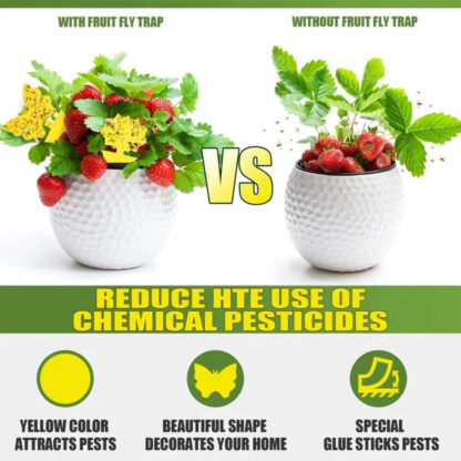 20pcs Fruit Fly Traps Insects Bugs Catcher Sticky Waterproof Fungus Gnat Killer - Image 5