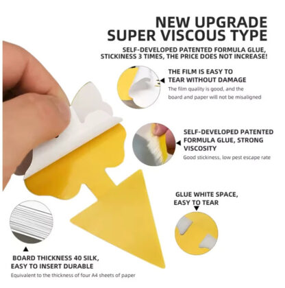 20pcs Fruit Fly Traps Insects Bugs Catcher Sticky Waterproof Fungus Gnat Killer - Image 10