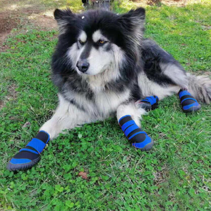 4x Anti-Slip Pet Boots Dog Puppy Waterproof Shoes Protective Rain-Booties Socks - Image 6