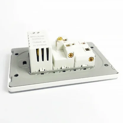 America Standard Power Outlet 118 Series 118*75mm Double USB Type-C Quick Charger US Mexico Glass Panel Wall Socket 16A 110V - Image 6