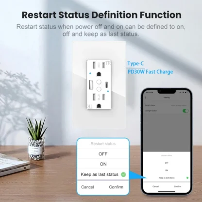 Melery Dual US Wall Sockets WIFI Smart Power Plug Outlets USB Type-C PD 20W Glass Fast Charge Remote by Tuya Alexa Google Home - Image 11