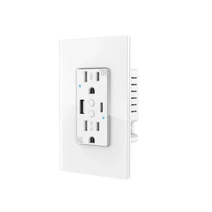 Melery Dual US Wall Sockets WIFI Smart Power Plug Outlets USB Type-C PD 20W Glass Fast Charge Remote by Tuya Alexa Google Home - Image 9