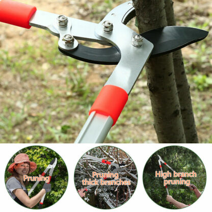 Heavy Duty Telescopic Long Handle Lopper Extend Tree Branch Anvil Pruner Cutter - Image 9