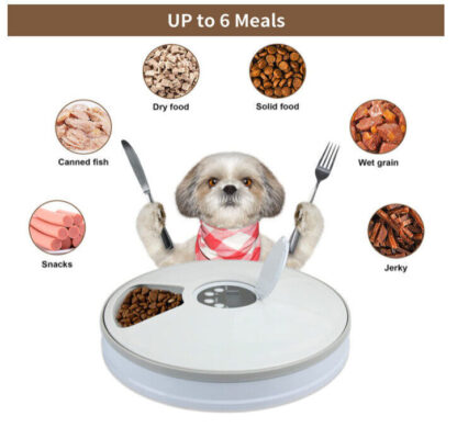 Automatic 6 Day Meal Timed Pet Dog Cat Feeder Food Bowl Auto Holiday Dispenser - Image 2