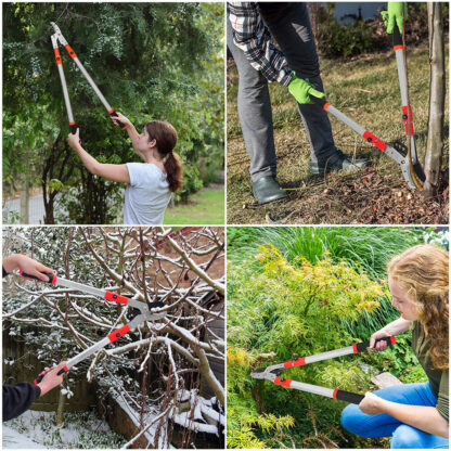 Heavy Duty Telescopic Long Handle Lopper Extend Tree Branch Anvil Pruner Cutter - Image 6