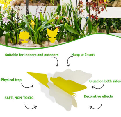 20pcs Fruit Fly Traps Insects Bugs Catcher Sticky Waterproof Fungus Gnat Killer - Image 6