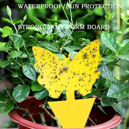 20pcs Fruit Fly Traps Insects Bugs Catcher Sticky Waterproof Fungus Gnat Killer - Image 9