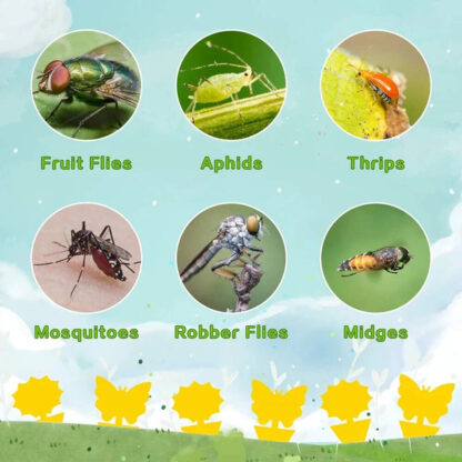 20pcs Fruit Fly Traps Insects Bugs Catcher Sticky Waterproof Fungus Gnat Killer - Image 8
