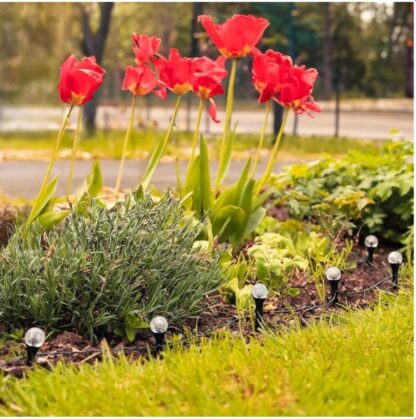Solar LED Stake Lights Multi Coloured 20 Ball Garden Path Lighting Patio Outdoor - Image 3